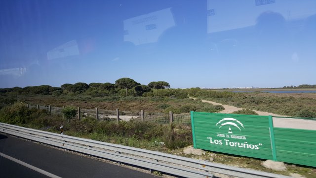 932 cadiz anfahrt